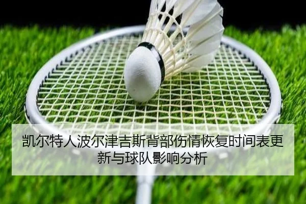 img_1781471629264_4_1_910.jpg