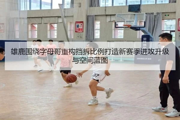 雄鹿围绕字母哥重构挡拆比例打造新赛季进攻升级与空间蓝图（kaiyun）